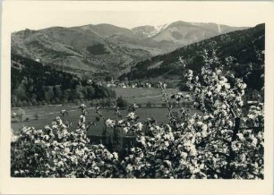 Freiburg - Günterstal i. Schwarzwald