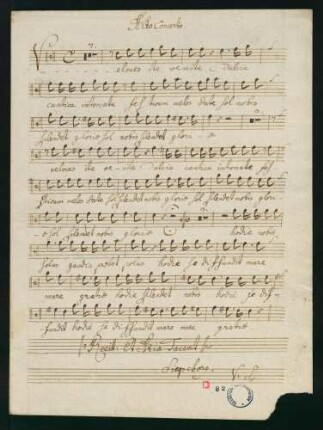 Alto Concerto