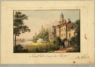 Findlaters Weinberg am Loschwitzer Elbhang zwischen Saloppe und Mordgrund bei Dresden, im Hintergrund die Stadt Dresden im Elbtal