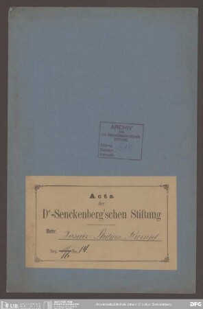Insatz Rumpf