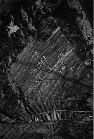 Grabstein 1031 (Nachholaufnahme)