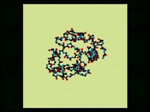 3D-Darstellung von Molekülen mit RasMol