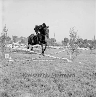 Sportveranstaltung: Pferdeleistungsschau: Turniergemeinschaft Stormarn-Süd mit Reit- und Fahrverein Trittau und Umgebung von 1922 e.V.: Jagdspringen: Pferd mit Reiter beim Sprung über Hindernis