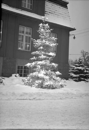 Radebeul-Kötzschenbroda, Fabrikstraße 27. Elektroarmaturenwerk JWH. Weihnachtsbaum vor dem Verwaltungsgebäude (1921)