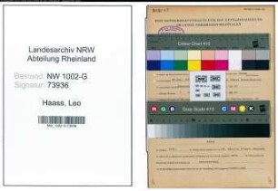 Entnazifizierung Leo Haass, geb. 23.06.1899 (Schreiner)