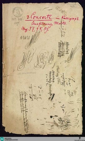 Concertos - Mus. Hs. 355 : fl, fag, strings, bc; D; GroF 765