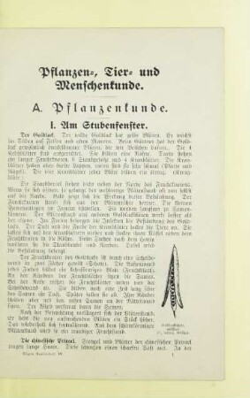 Pflanzen-, Tier- und Menschenkunde
