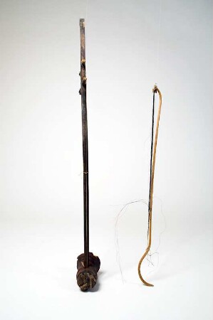 cai nhi
