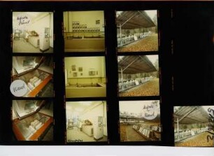 Philipp Holzmann AG - Betonlabor, Gehespitz, 1986