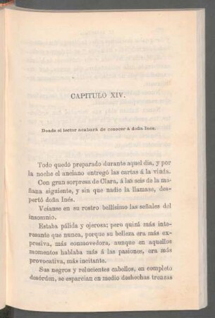 Capítulo XIV. - Donde el lector acabará de conocer á doña Inés.