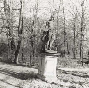 Apollo, Schloßpark Altdöbern : Apollo mit Lyra (um 1750/1755; Gottfried Knöffler). Sandstein. Schloßpark Altdöbern