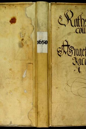 Ratsprotokolle, 1650 Juli 30. - 1651 Juli 22.