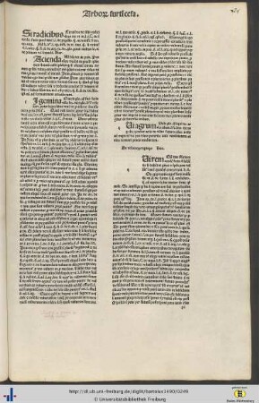 De vi bonorum raptorum