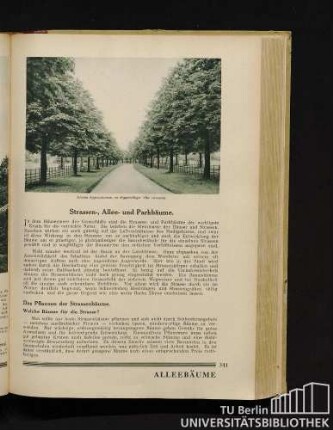 Strassen-. Allee- und Parkbäume.