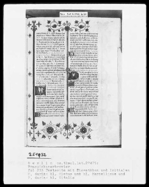 Franziskanisches Brevier — ---, Folio 233rectoBuchseite