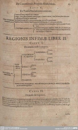 Regionis Infimae Liber II.