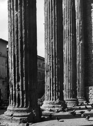 Assisi. Santa Maria sopra Minerva ora di San Filippo Neri (27ante/14). Unterer Teil der Säulen