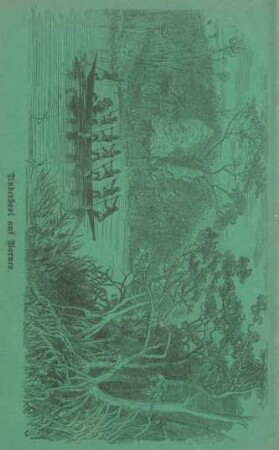 Ruderboot auf Borneo