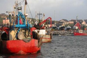 Fischerhafen : Fischerboote im Hafen von Dingle an der irischen Westküste, aufgenommen im März 2004. Foto Uwe Gerig