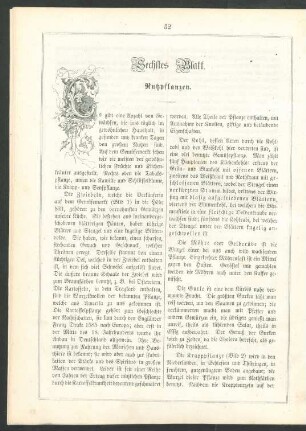 Sechstes Blatt. Nutzpflanzen.