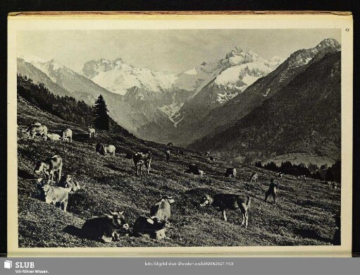 Die Spielmannsau mit Kratzer und Mädelegabel