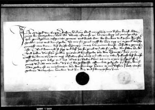 Michel von Ems von der Hohenems quittiert über 110 fl. Zins und Dienstgeld.