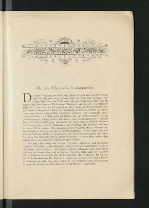 VI. Das Chemische Laboratorium