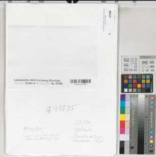 Ellenhausen, Gut, Fluratlas