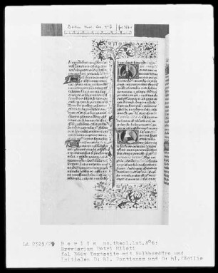 Breviarium Petri Mileti — ---, Folio 366versoBuchseite