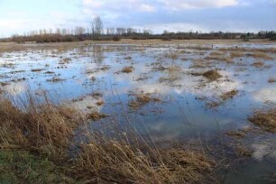 Bad Oldesloe: Wolkenwehe: Überschwemmung der Wolkenweher Niederung nach Starkregen