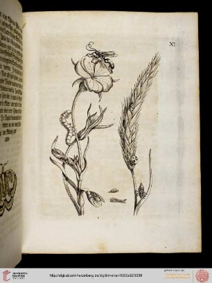 Tafeln und Text 11-20