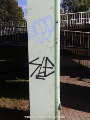 SLE
