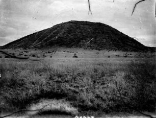 Berg : Blick über eine Graslandschaft auf einen Berg