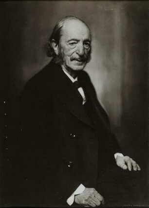Professor Julius Rodenberg