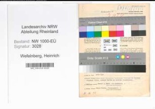 Entnazifizierung Heinrich Wefelnberg, geb. 08.09.1897 (Lehrer)