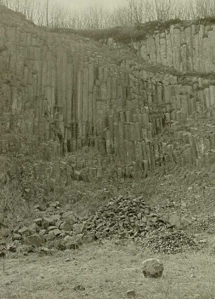 Oberlausitz. Strohmberg bei Weißenberg. Nördlicher Basaltbruch, senkrechte Säulen des Deckenbasalts
