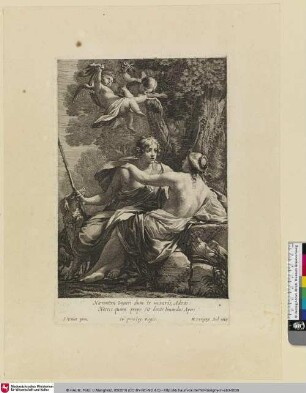 [Venus und Adonis; Vénus et Adonis]