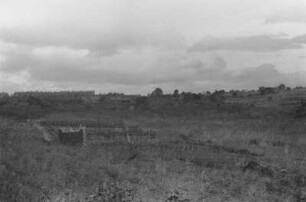 Pflanzung in Dabaga : Landschaft in Dabaga mit Farm im Hintergrund.