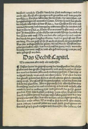 Das Sechst Capitel.