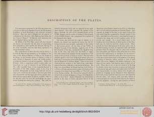 Description of the plates