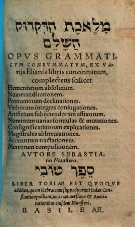 Melêḵat had-diqdûq haš-šālēm : Ex varijs Elianis libris concinnatum ... = Opvs Grammaticvm Consummatvm