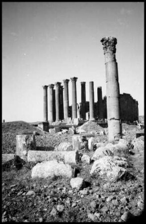 Keine Beschreibung [Jerash: Artemistempel]