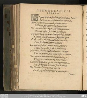 Germen Radicis Jesseae.