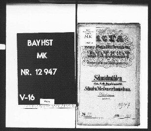 Schmidmühlen (Bezirksamt Burglengenfeld), Schul- und Meßnerhausbau, Schulwesen überhaupt