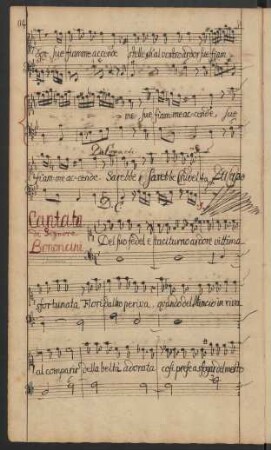 Del suo fedel e taciturno ardore; S, b; d-Moll; HWV Anh. B 116