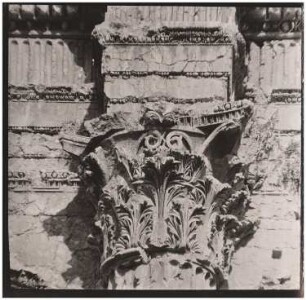 Kapitell, Baalbek: Ansicht
