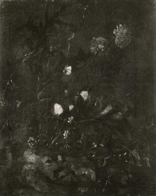 Unbekannter Künstler. Stilleben mit Blumen und Insekten. Leinwand; 62 x 51 cm. Dresden: Staatliche Kunstsammlungen, Gemäldegalerie Alte Meister Inv. S 675