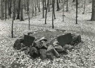 Denkmal des Grafen Heinrich von Brühl : Denkmal des Grafen Heinrich von Brühl. Bruchsteine, Eisengußplatten; je 47 x 122 bzw 70 cm (1782). Seifersdorf bei Radeberg, Seifersdorfer Tal