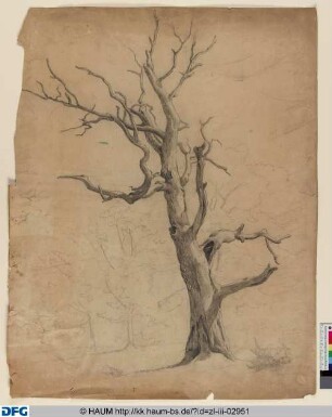 Großer Baum