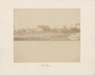 Nilufer bei Luxor in Ägypten